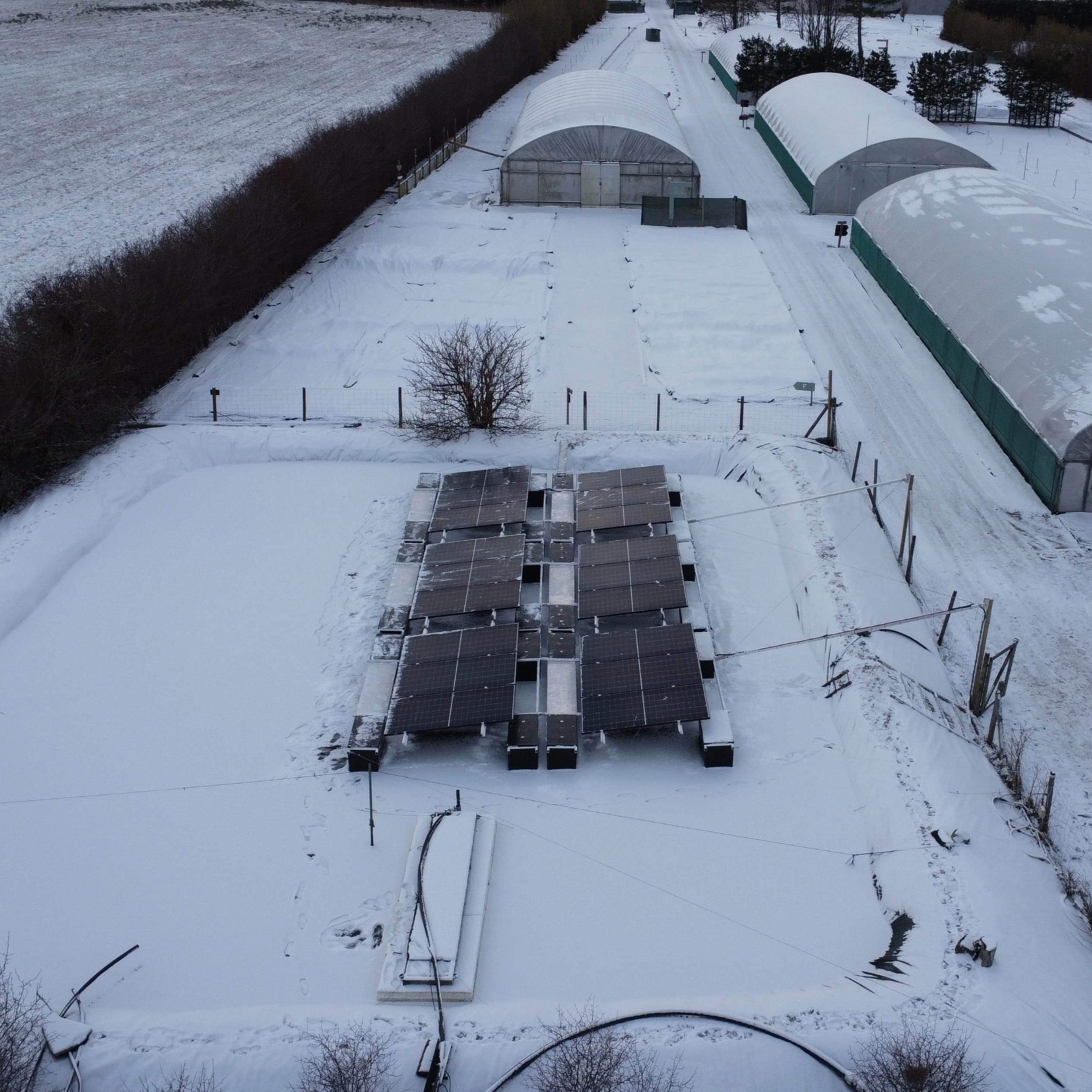 Floating solar panels on the irrigation pond at Säve Nursery
